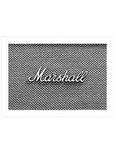 Marshall - Art Print